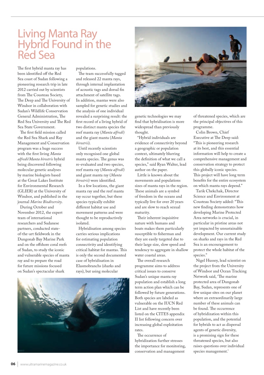 UltraMarine Magazine Preview Pages