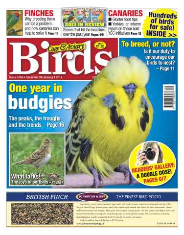 Cage & Aviary Birds issue No.5784 A Year in Budgies
