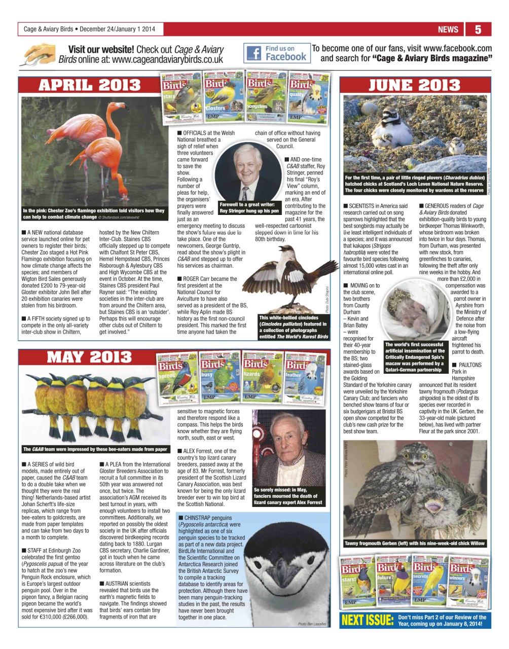 Cage & Aviary Birds Preview Pages