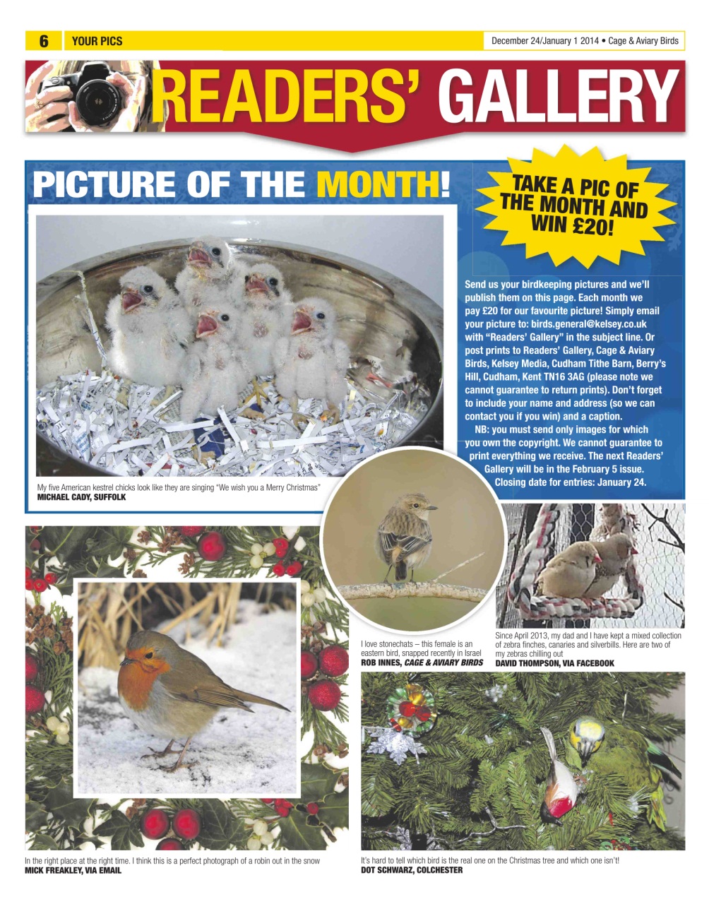 Cage & Aviary Birds Preview Pages