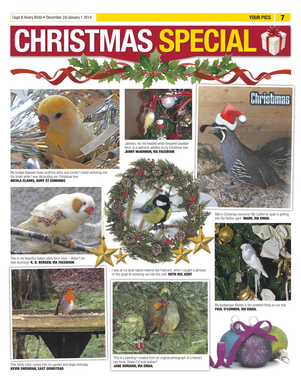 Cage & Aviary Birds Preview Pages