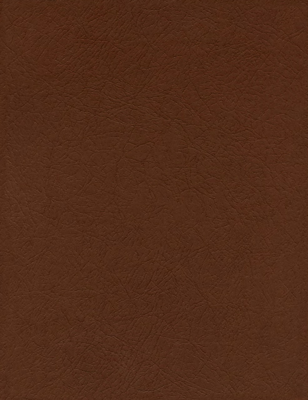 Double Gun Journal Preview Pages