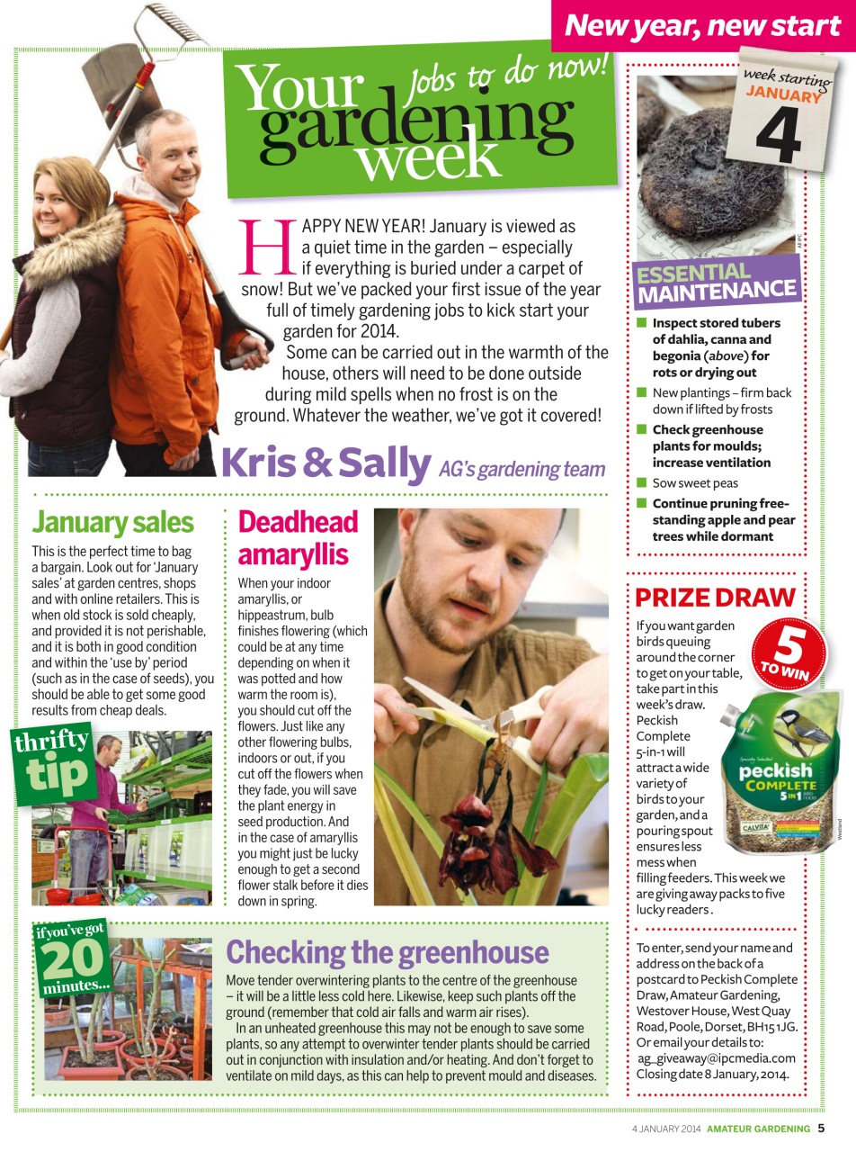 Amateur Gardening Preview Pages