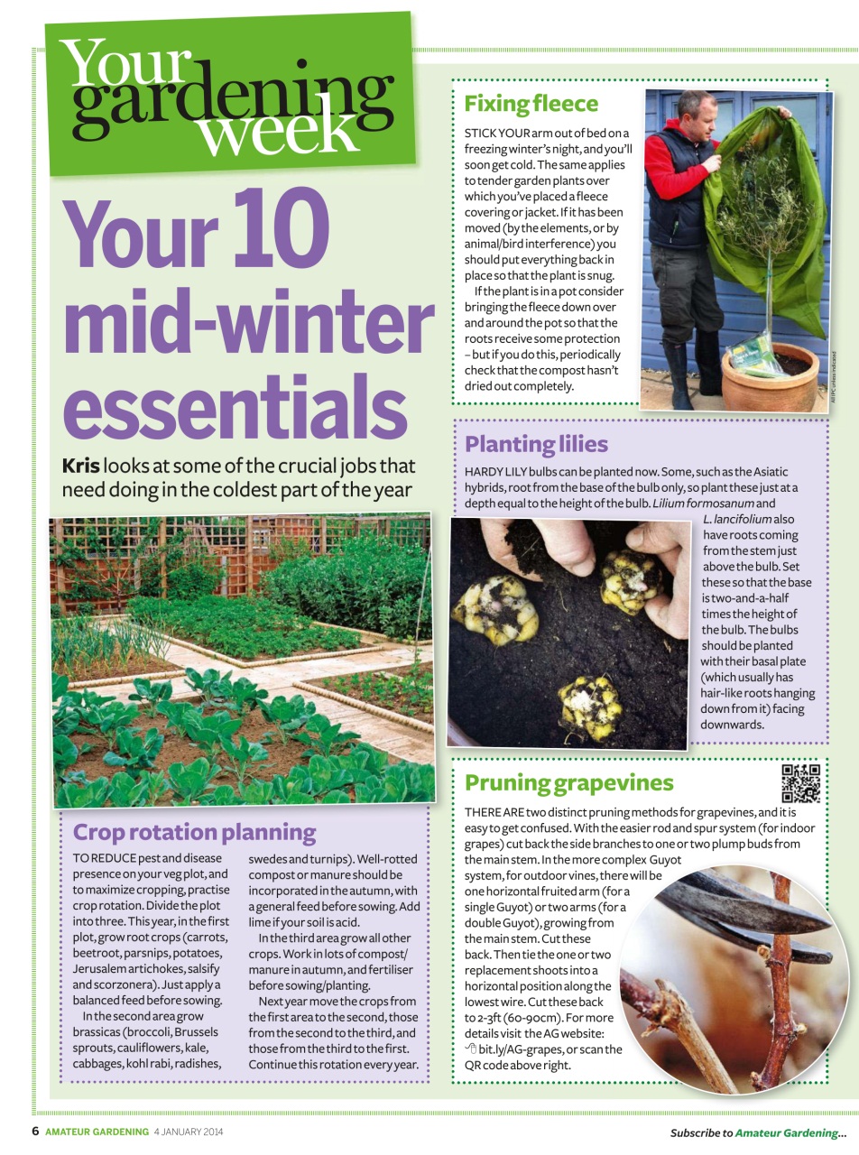 Amateur Gardening Preview Pages