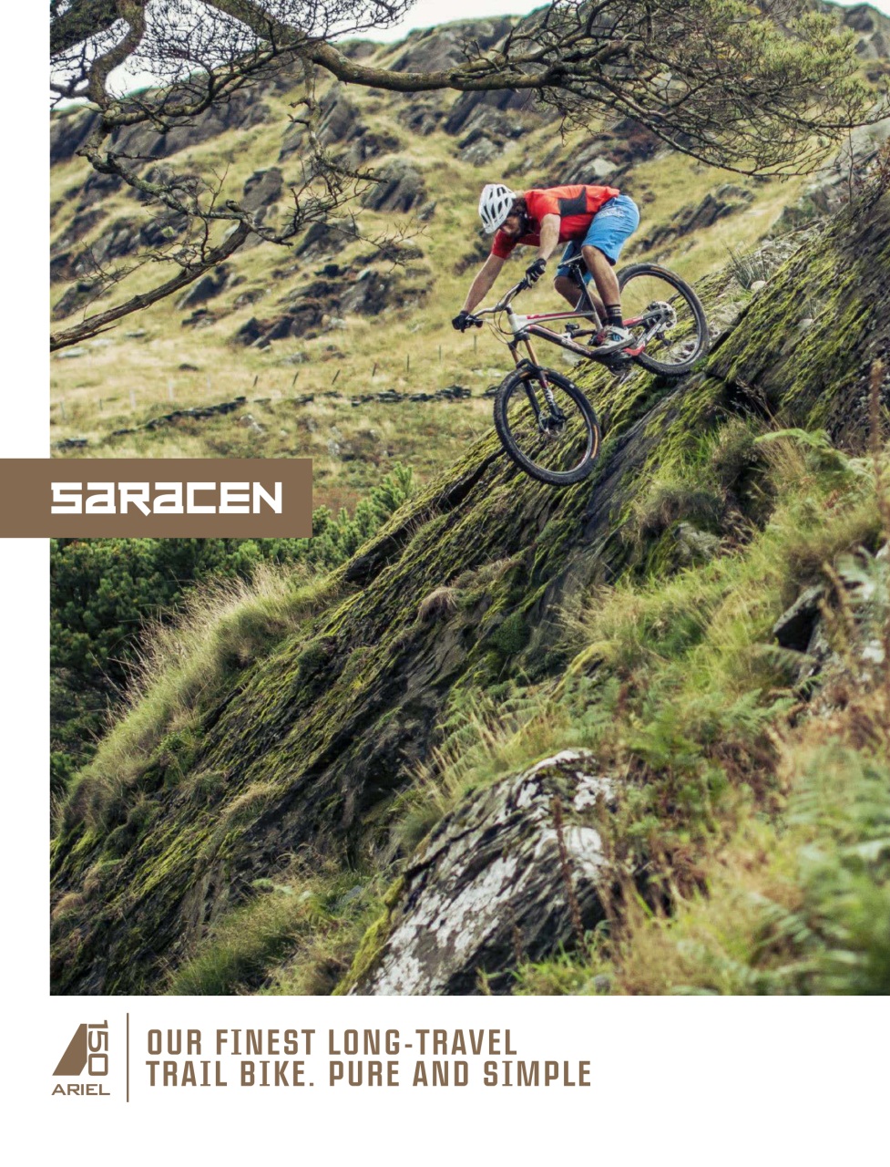 Mountain Bike Rider Preview Pages