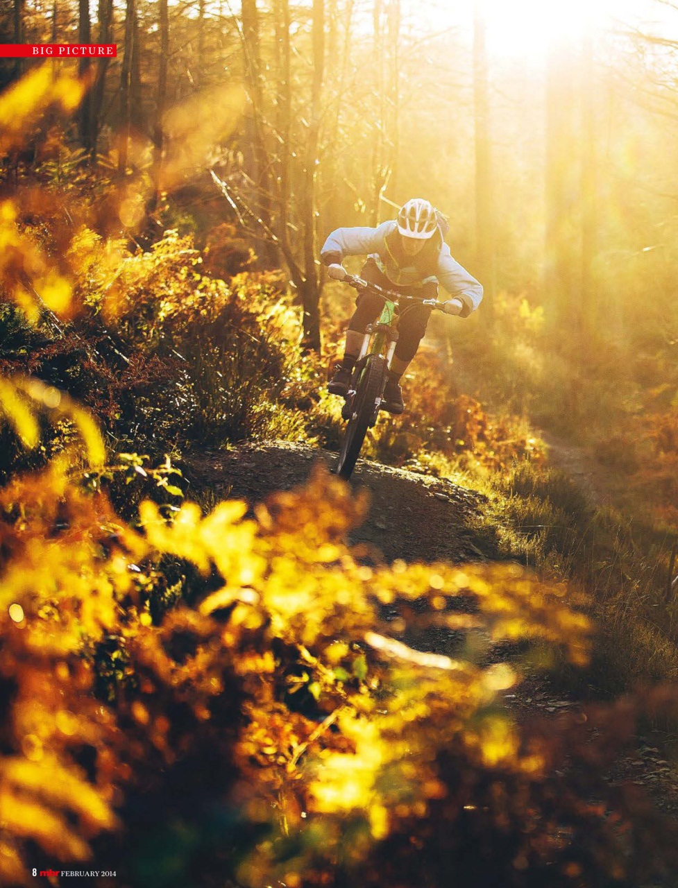 Mountain Bike Rider Preview Pages