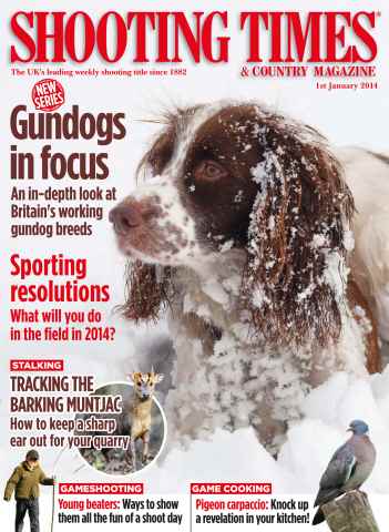 Shooting Times & Country issue 1st January 2014
