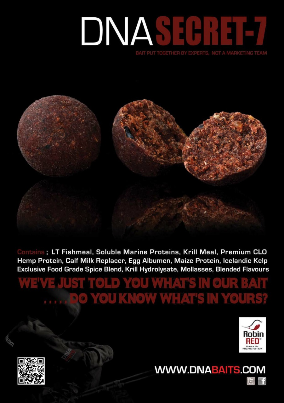 Carpworld Preview Pages
