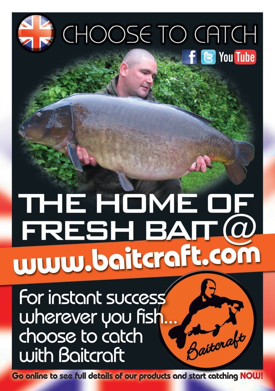 Carpworld Preview Pages
