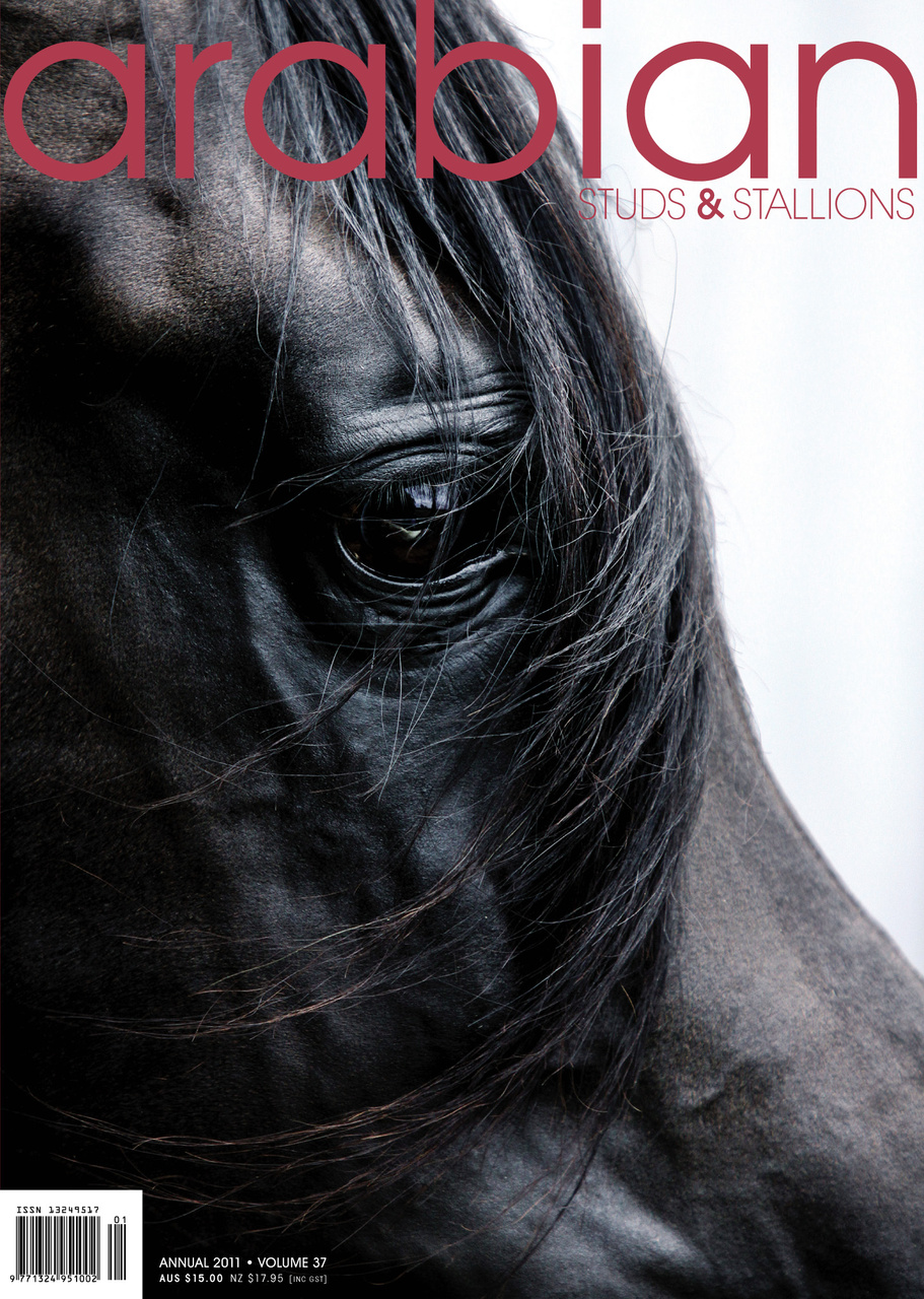 Arabian Studs & Stallions Preview Pages