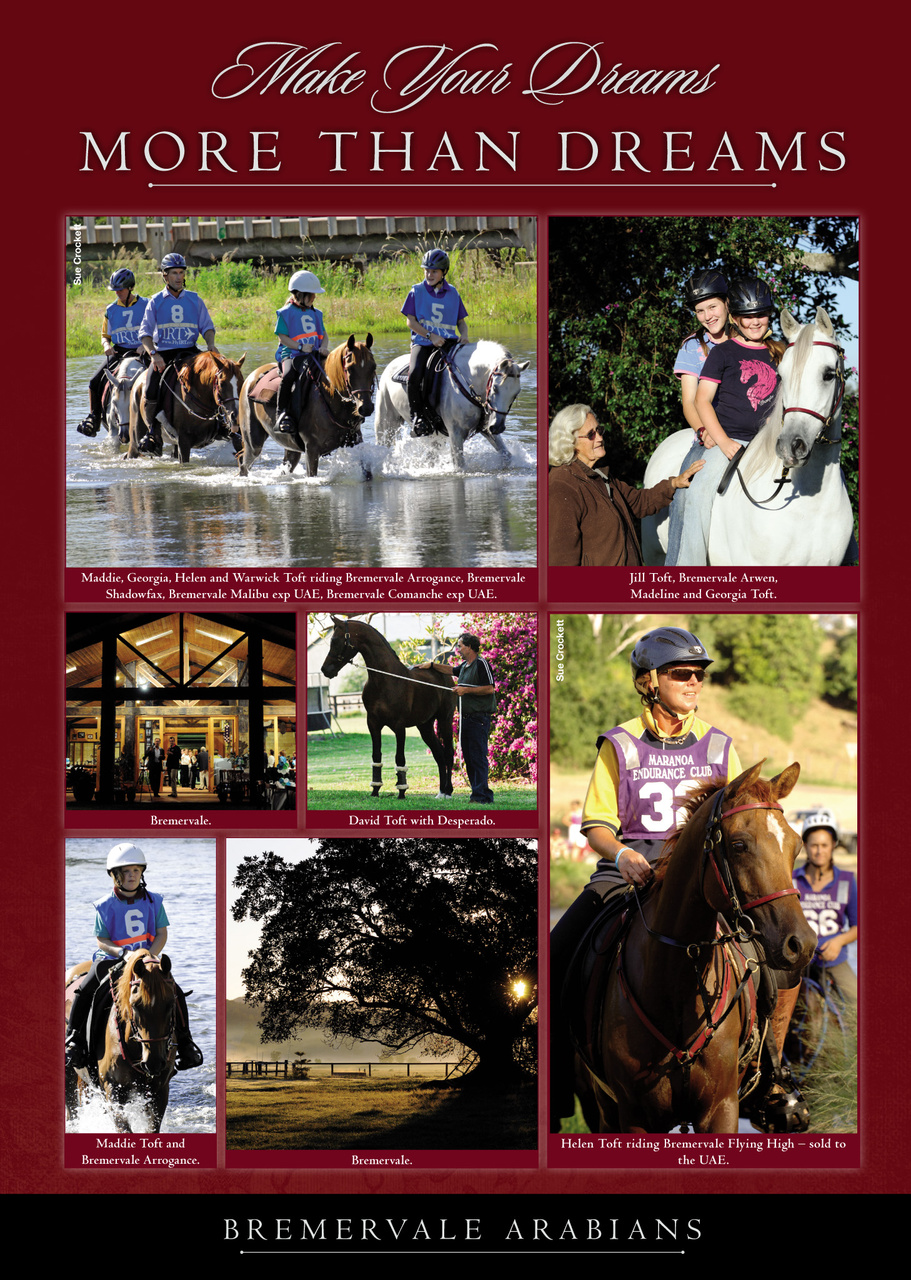 Arabian Studs & Stallions Preview Pages