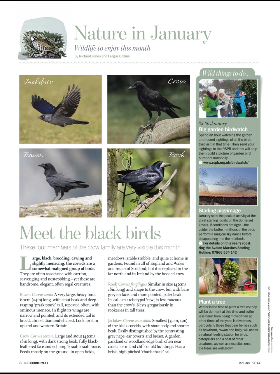 BBC Countryfile Magazine Preview Pages
