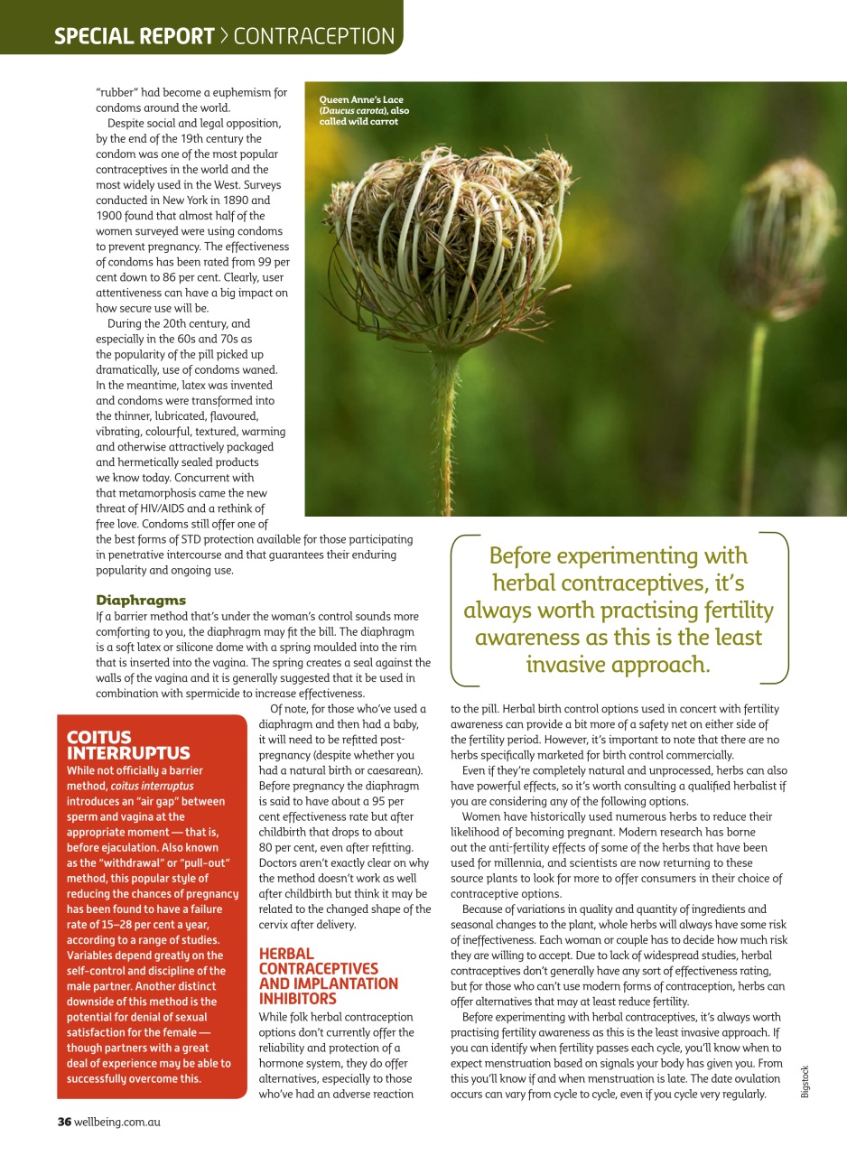 WellBeing Preview Pages