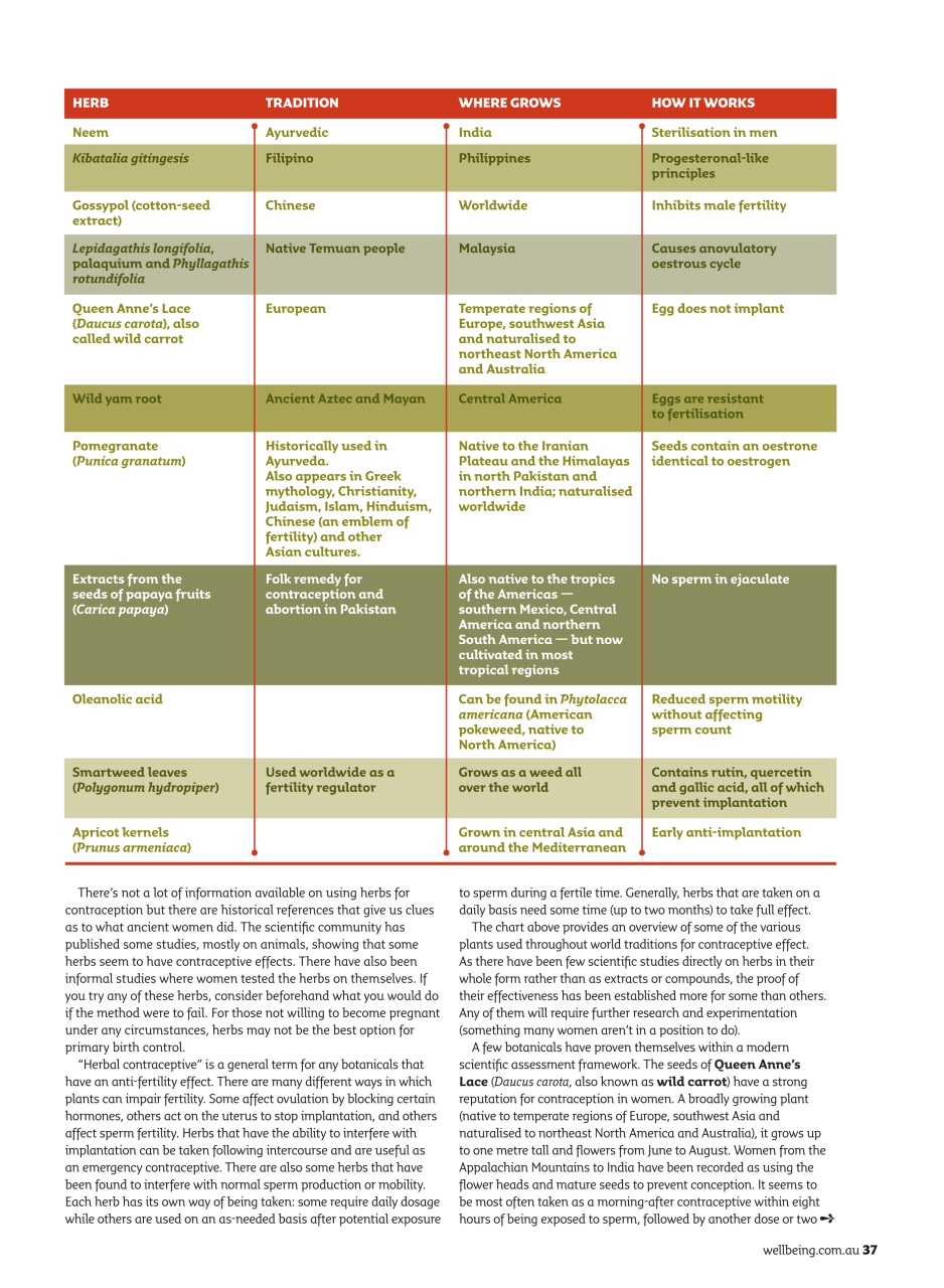 WellBeing Preview Pages