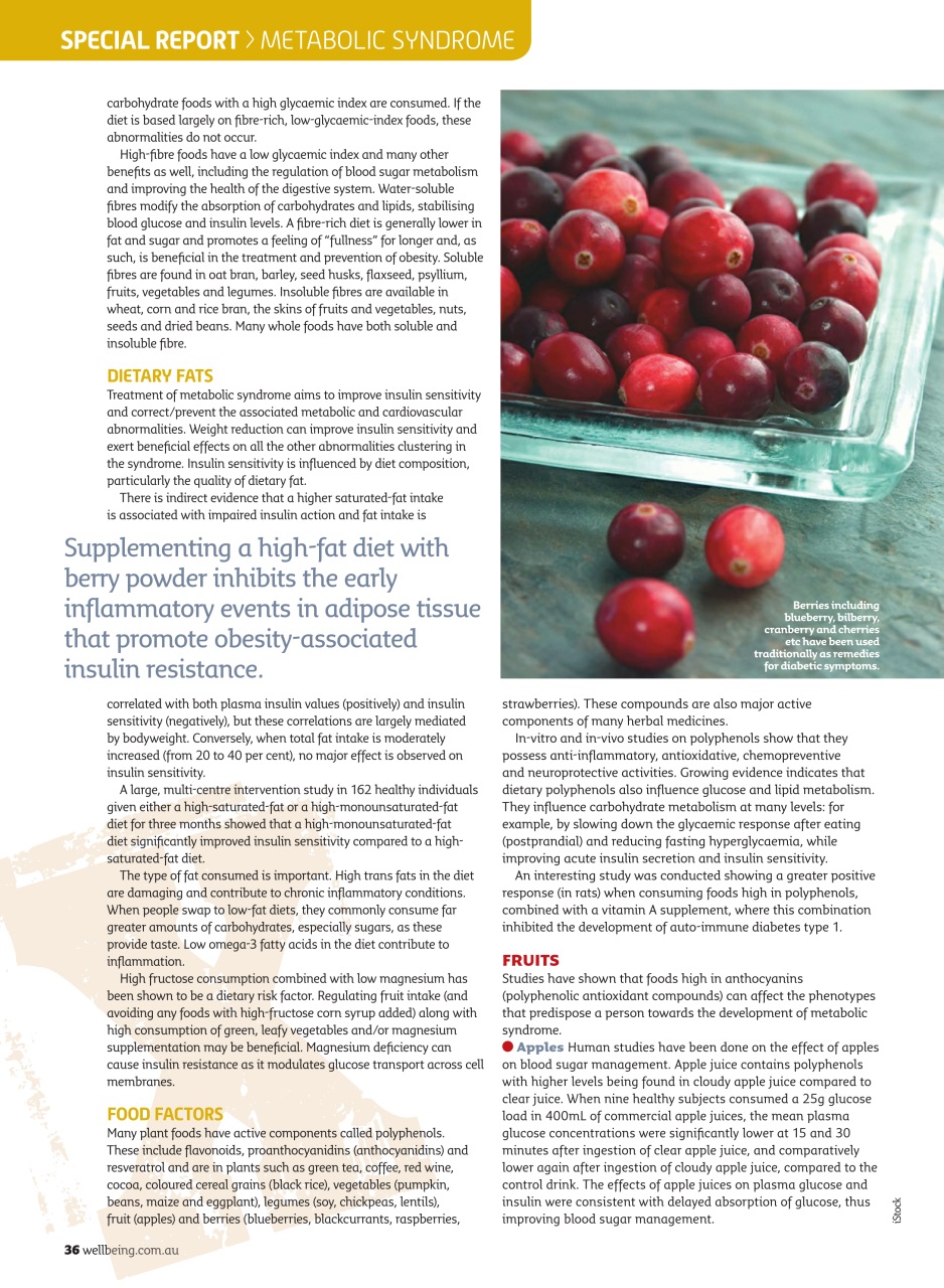 WellBeing Preview Pages