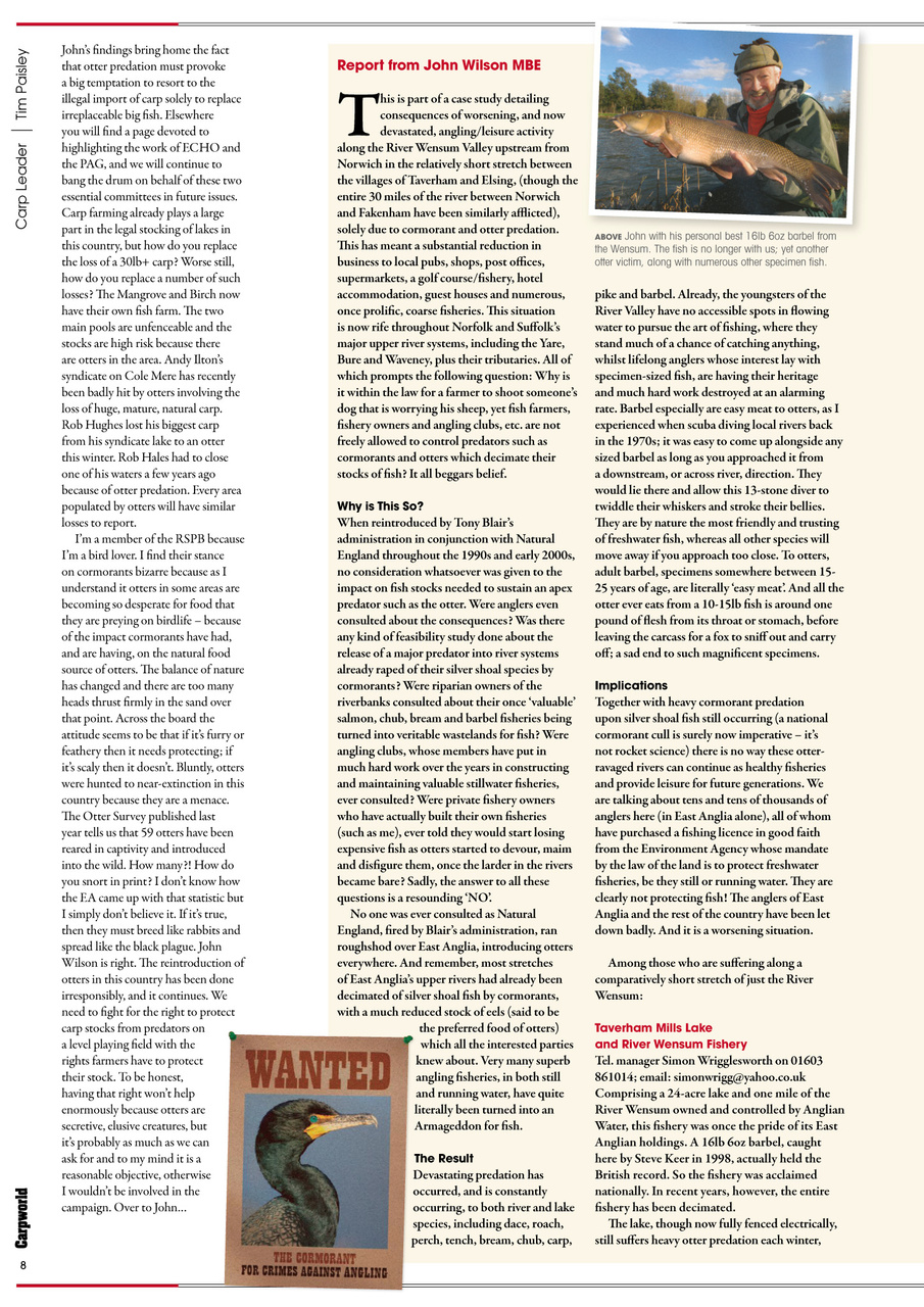 Carpworld Preview Pages