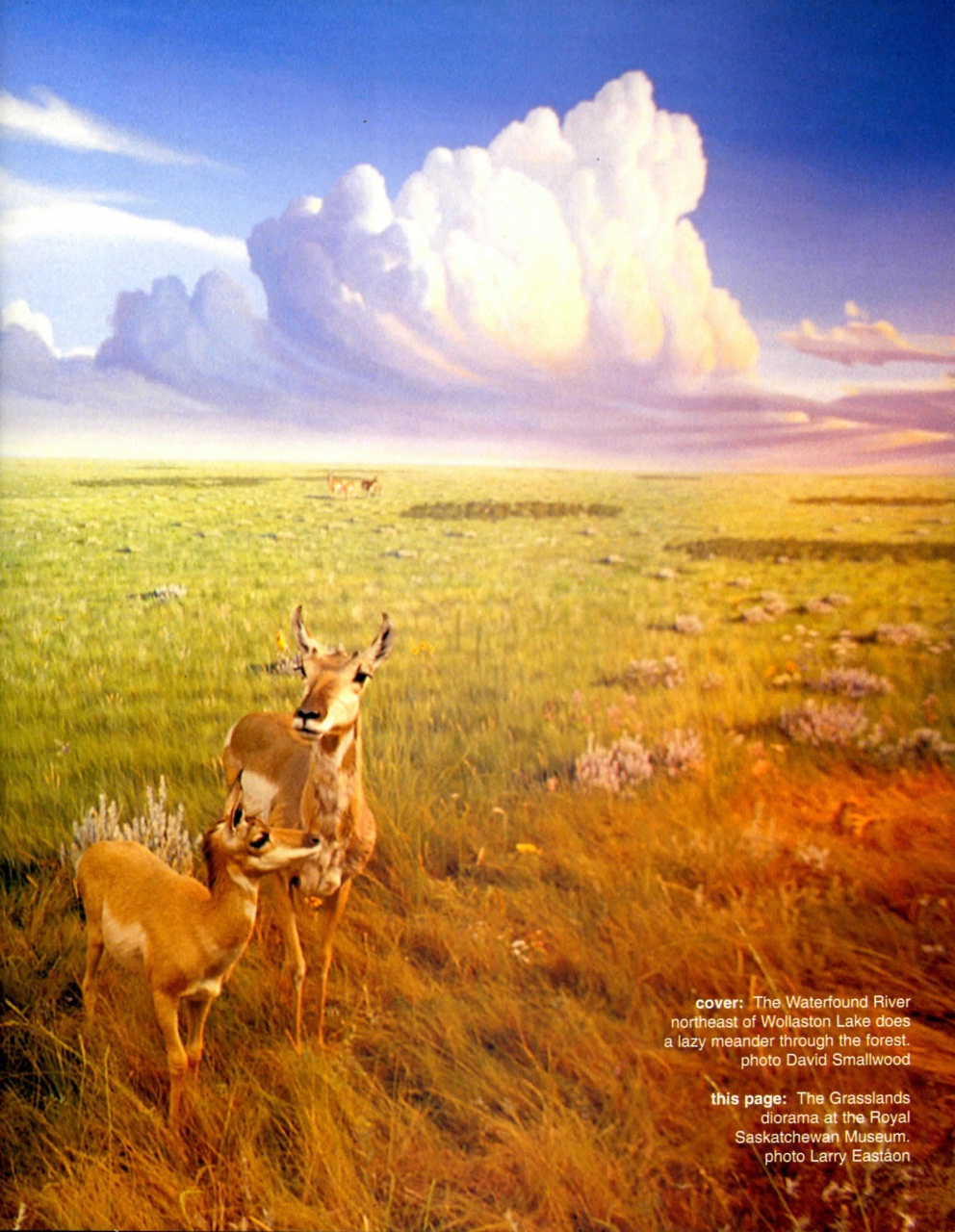 Prairies North Magazine Preview Pages