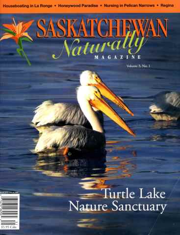 Prairies North Magazine issue Spring 2001