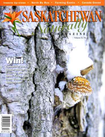 Prairies North Magazine issue Winter 2000