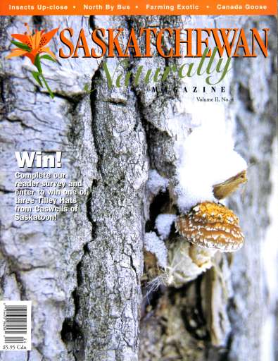 Prairies North Magazine issue 