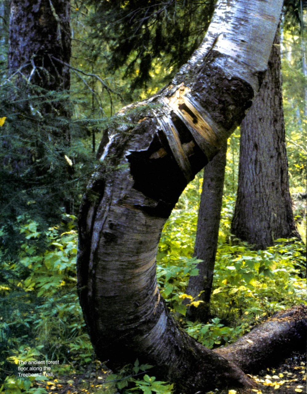 Prairies North Magazine Preview Pages