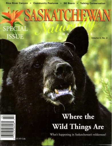 Prairies North Magazine issue 