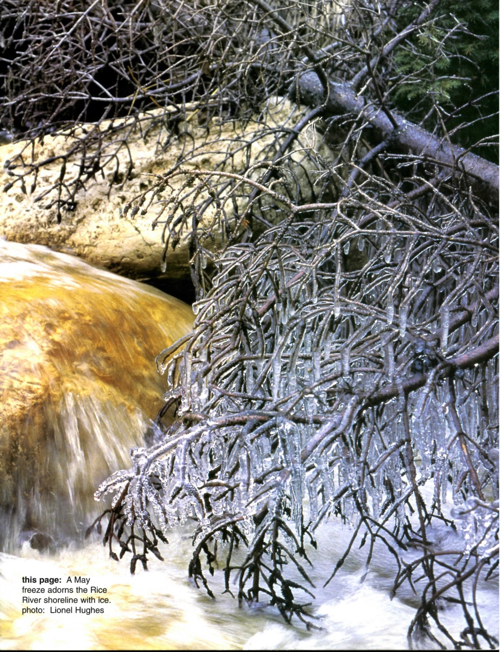 Prairies North Magazine Preview Pages