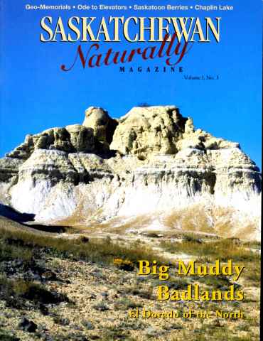Prairies North Magazine issue Fall 1999