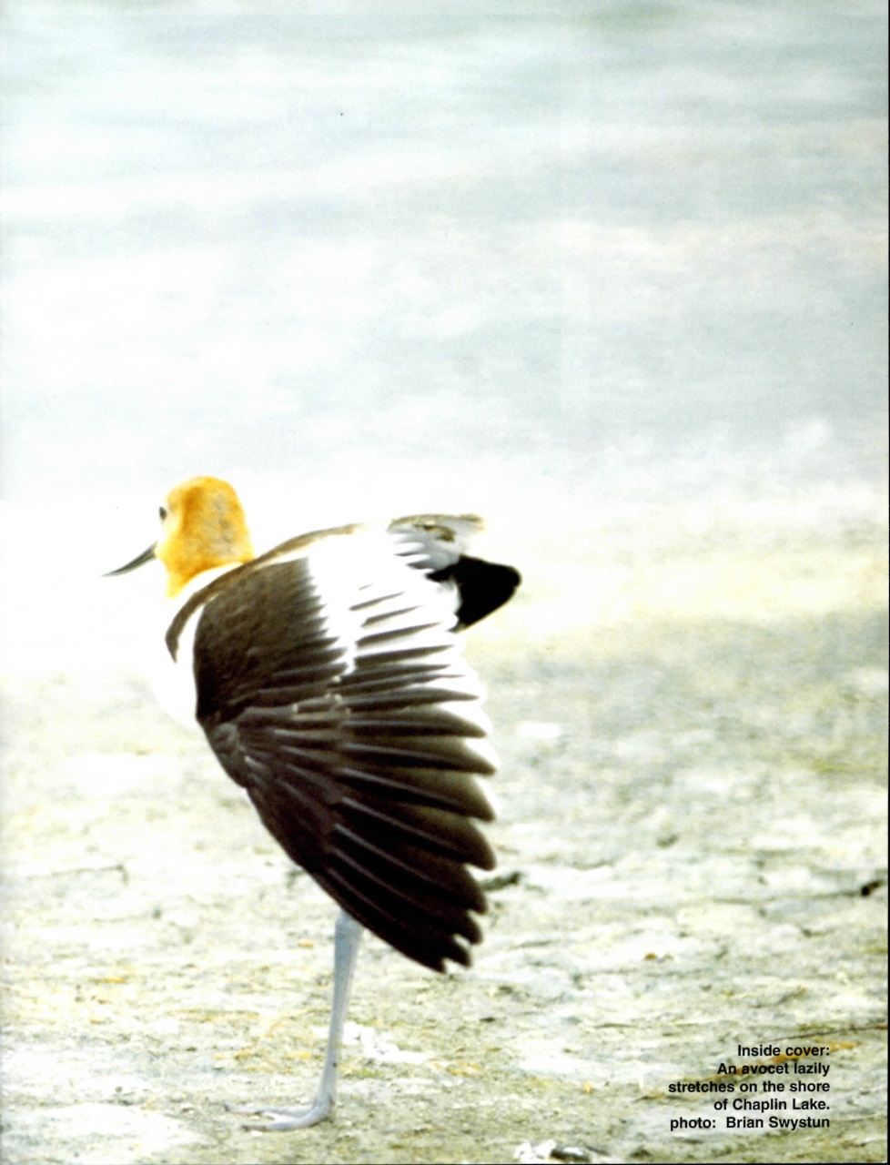 Prairies North Magazine Preview Pages