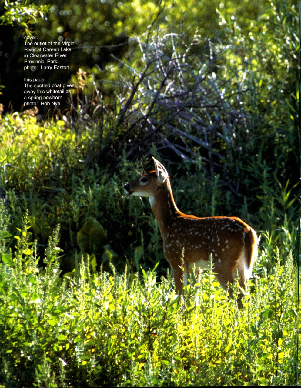 Prairies North Magazine Preview Pages