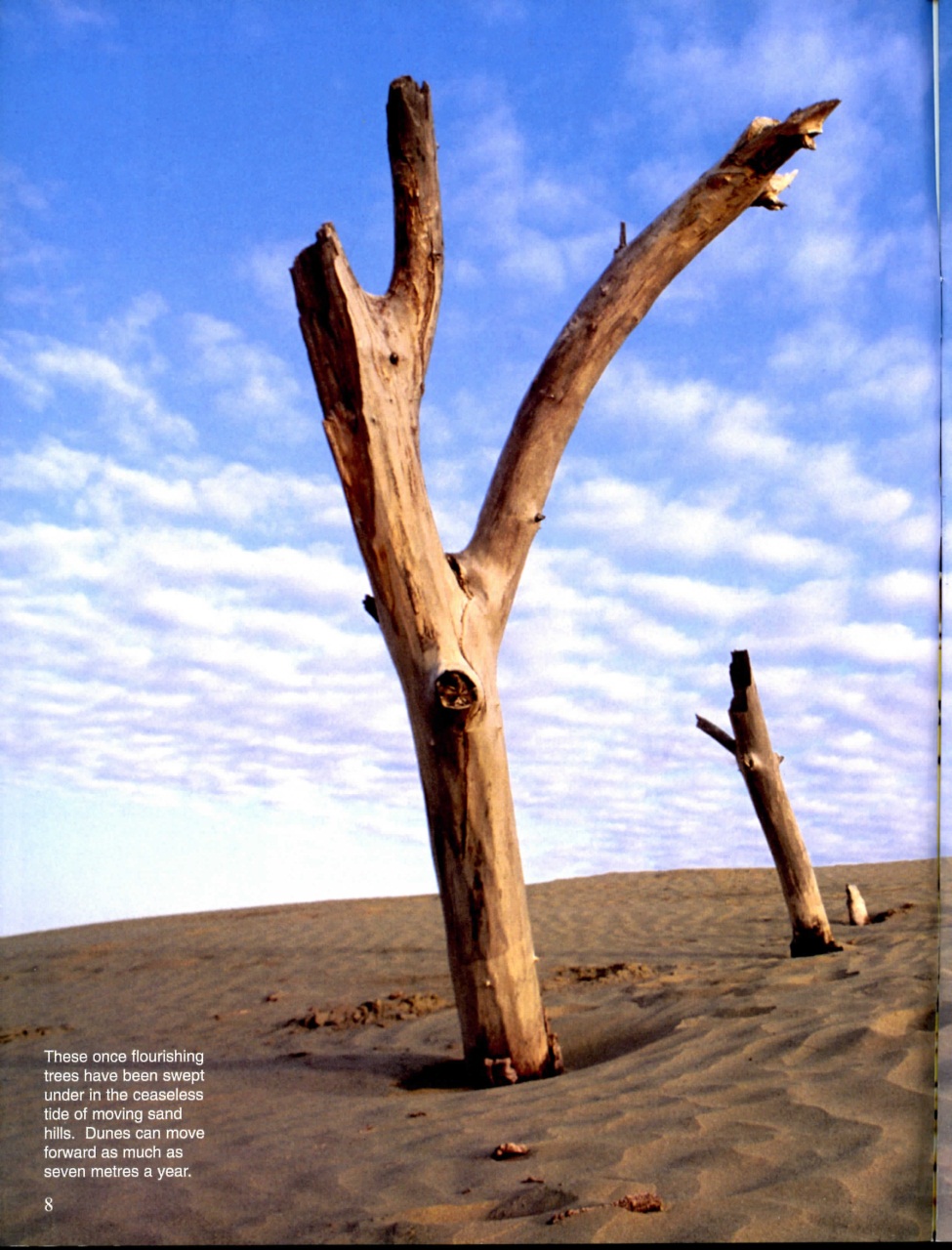 Prairies North Magazine Preview Pages