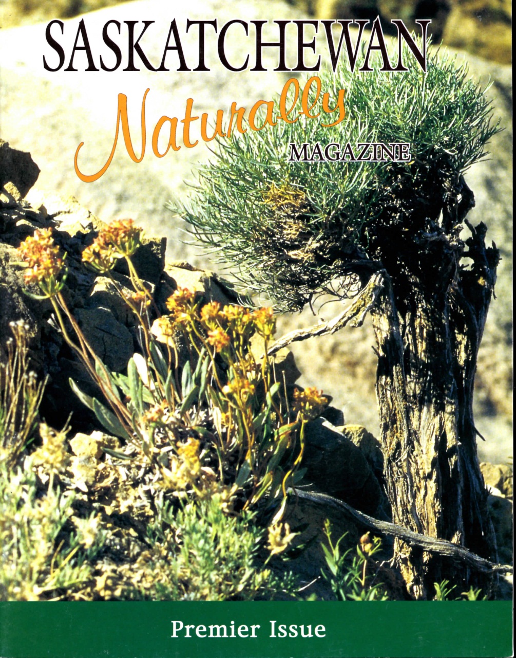 Prairies North Magazine Preview Pages