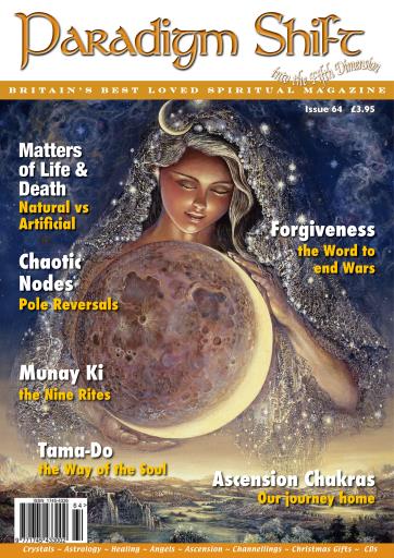 Paradigm Shift issue 