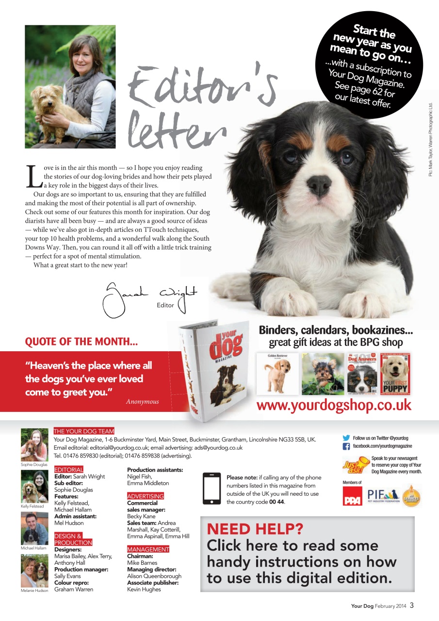 Your Dog Preview Pages