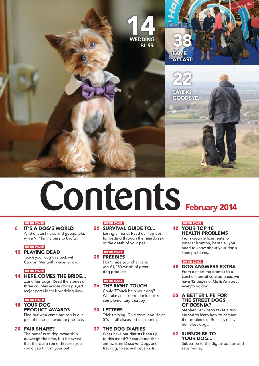 Your Dog Preview Pages