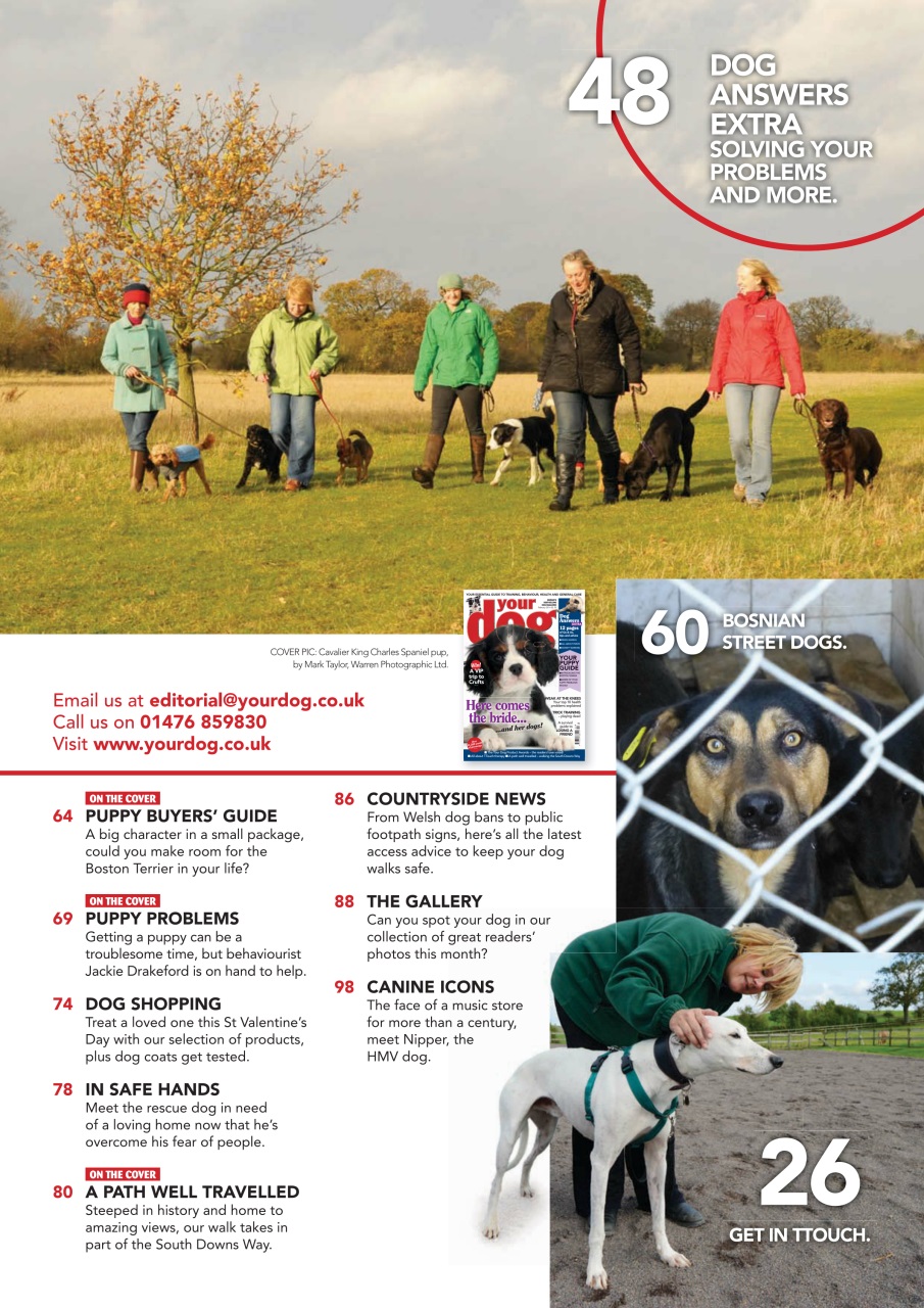 Your Dog Preview Pages