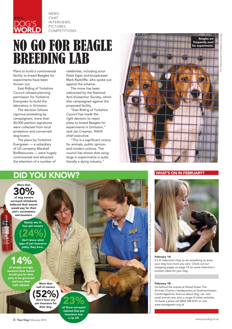 Your Dog Preview Pages