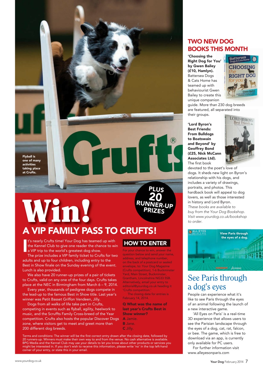 Your Dog Preview Pages