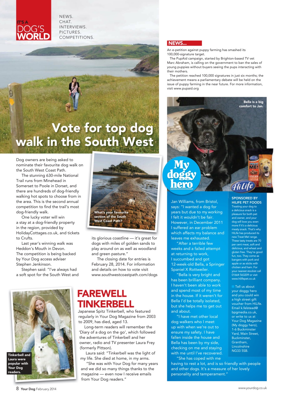 Your Dog Preview Pages