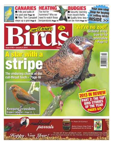 Cage & Aviary Birds issue No.5785 The Star with a Stripe