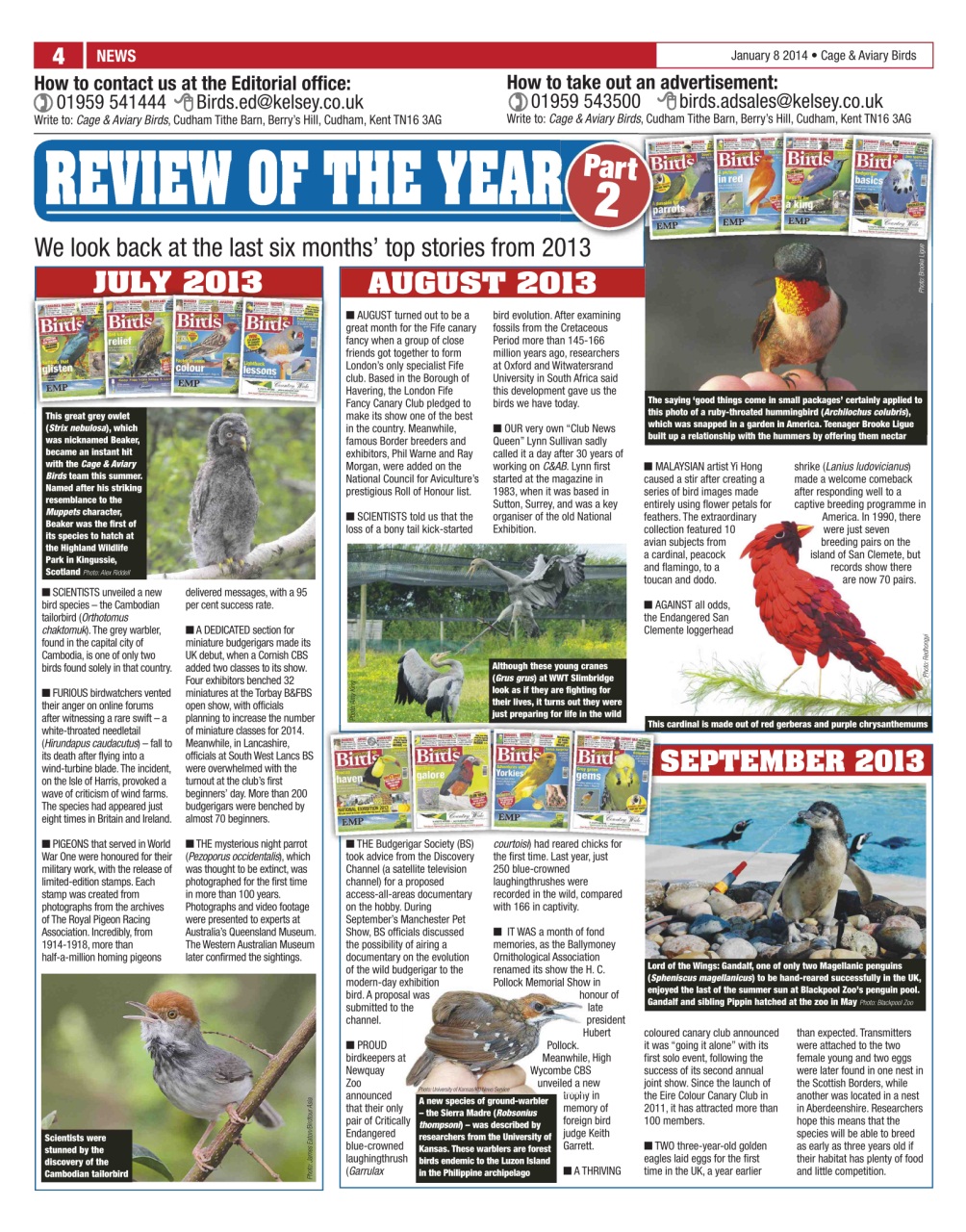 Cage & Aviary Birds Preview Pages