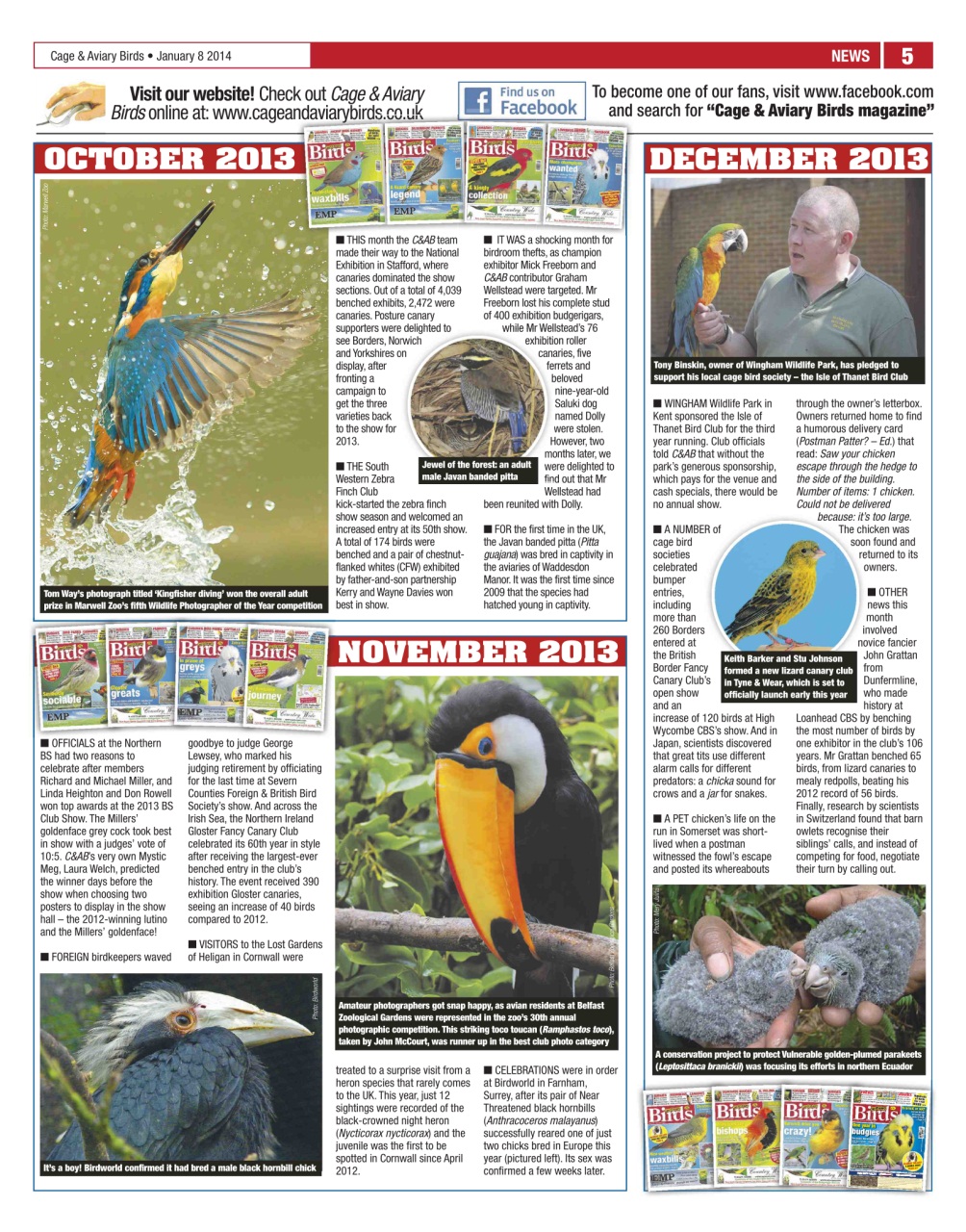 Cage & Aviary Birds Preview Pages