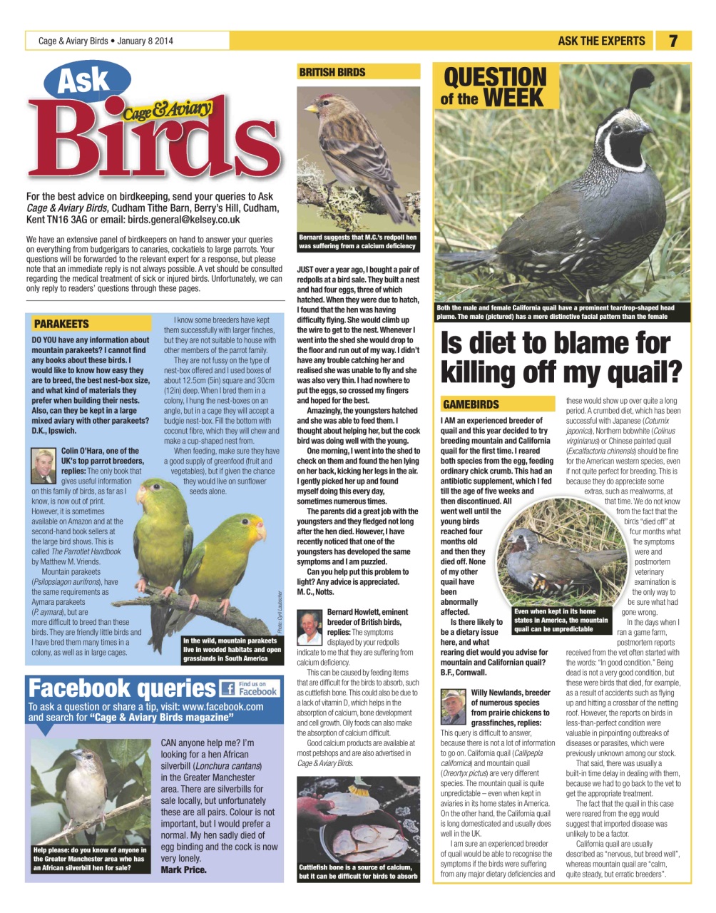 Cage & Aviary Birds Preview Pages