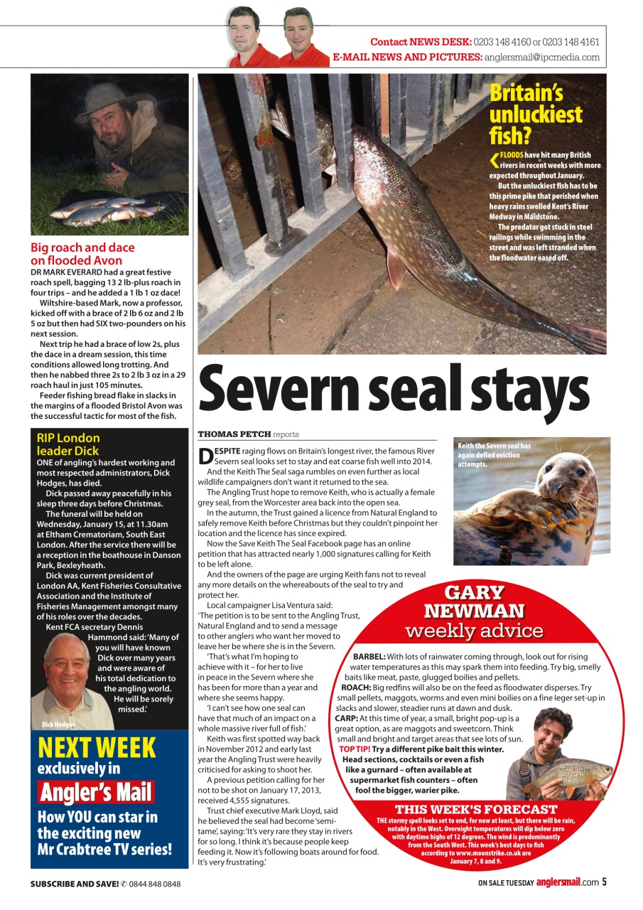 Anglers Mail Preview Pages