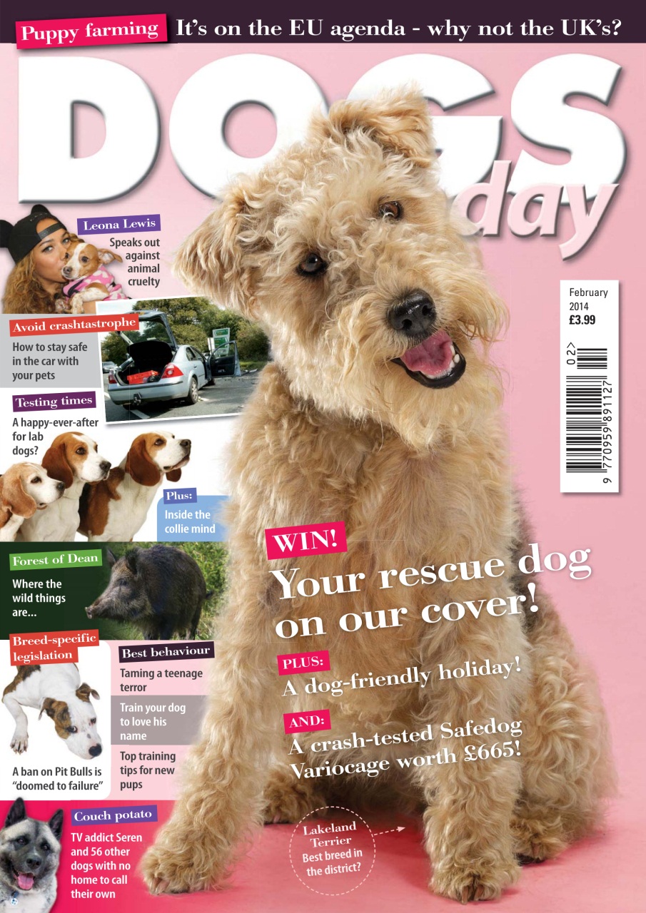 Dogs Today Magazine Preview Pages