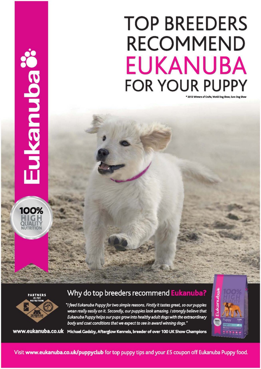 Dogs Today Magazine Preview Pages