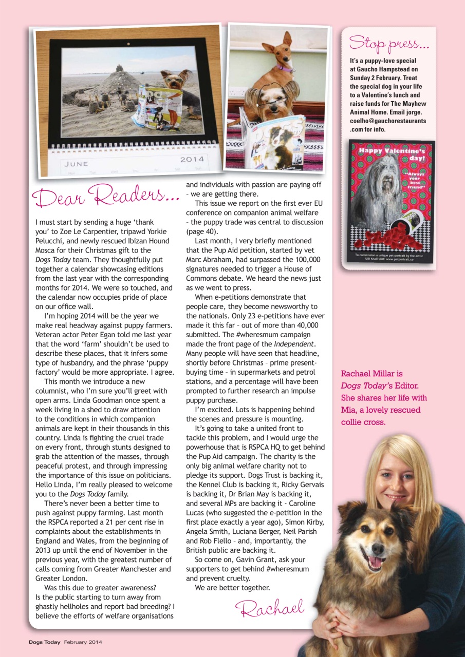 Dogs Today Magazine Preview Pages