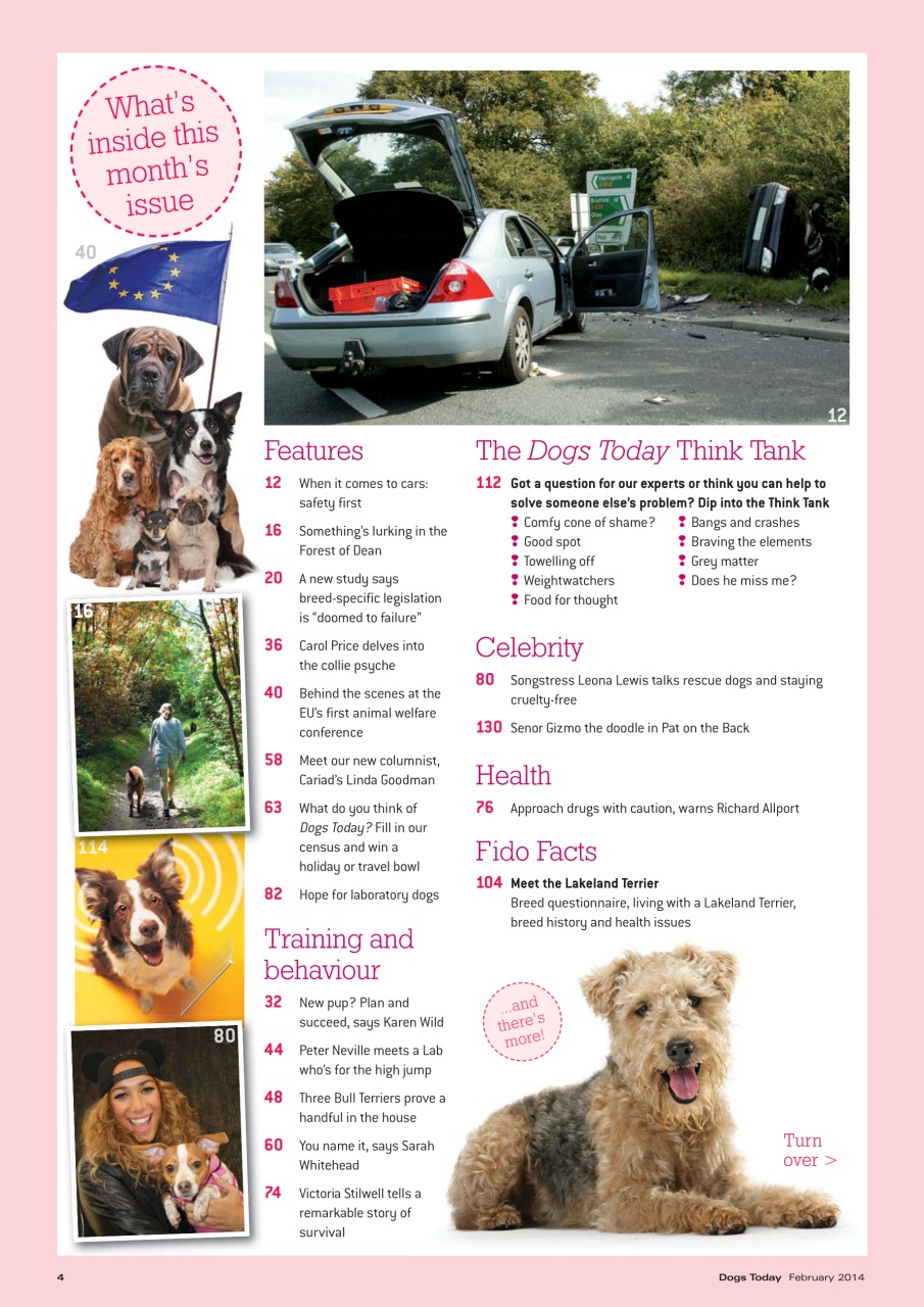 Dogs Today Magazine Preview Pages