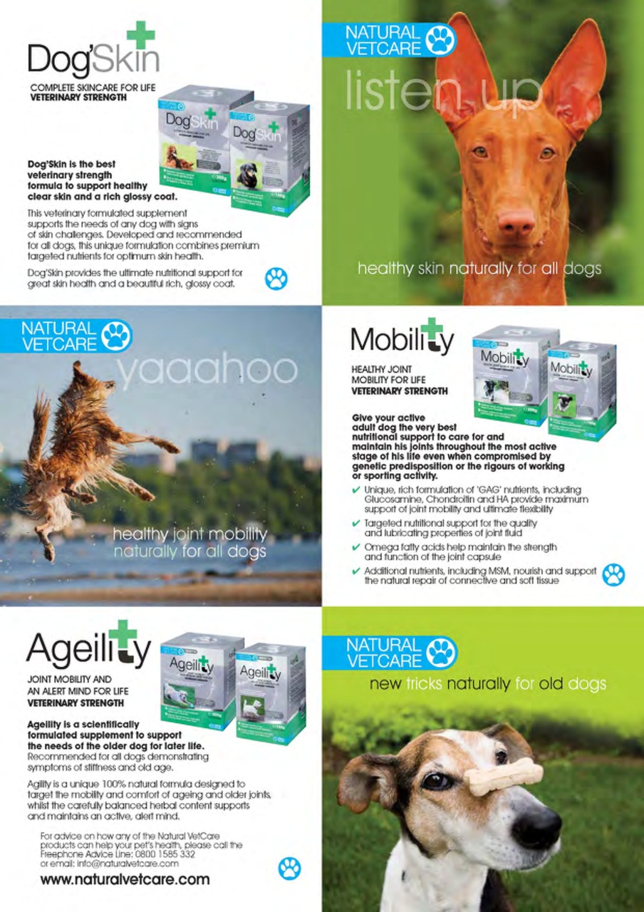Dogs Today Magazine Preview Pages