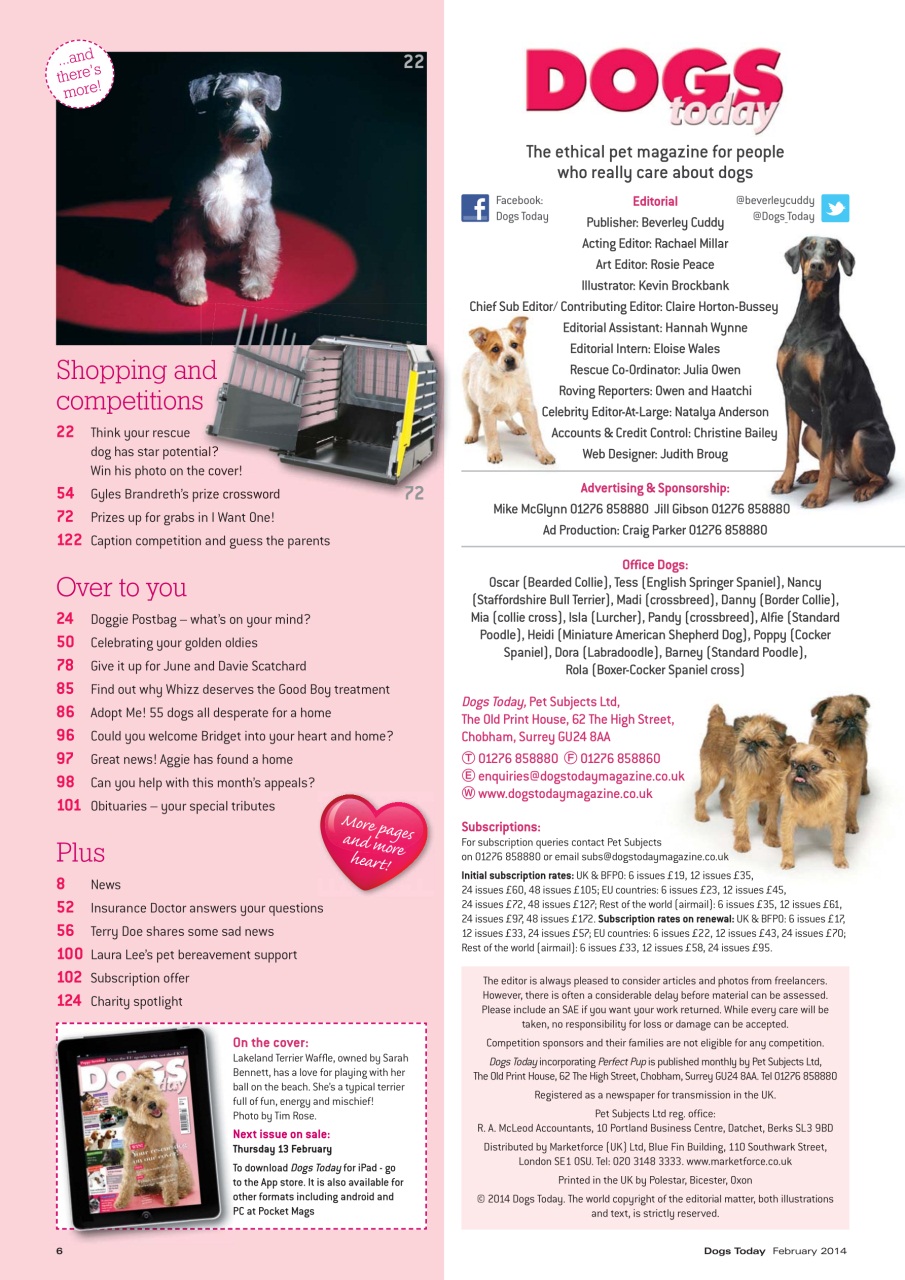 Dogs Today Magazine Preview Pages